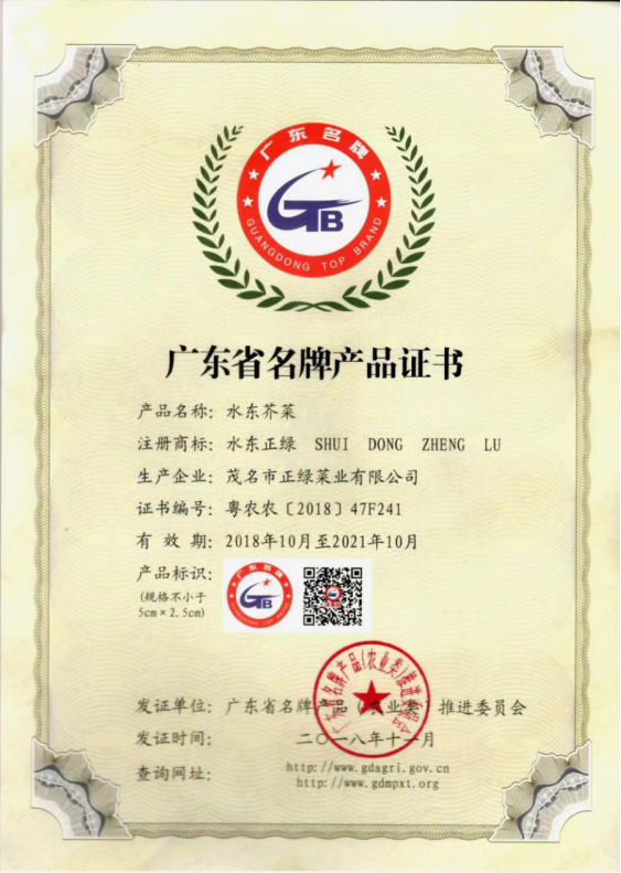 1635091320262007.png